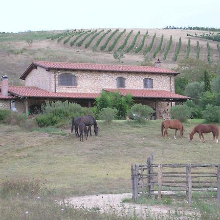 Casale Farnesiana B&B Тарквиния Экстерьер фото