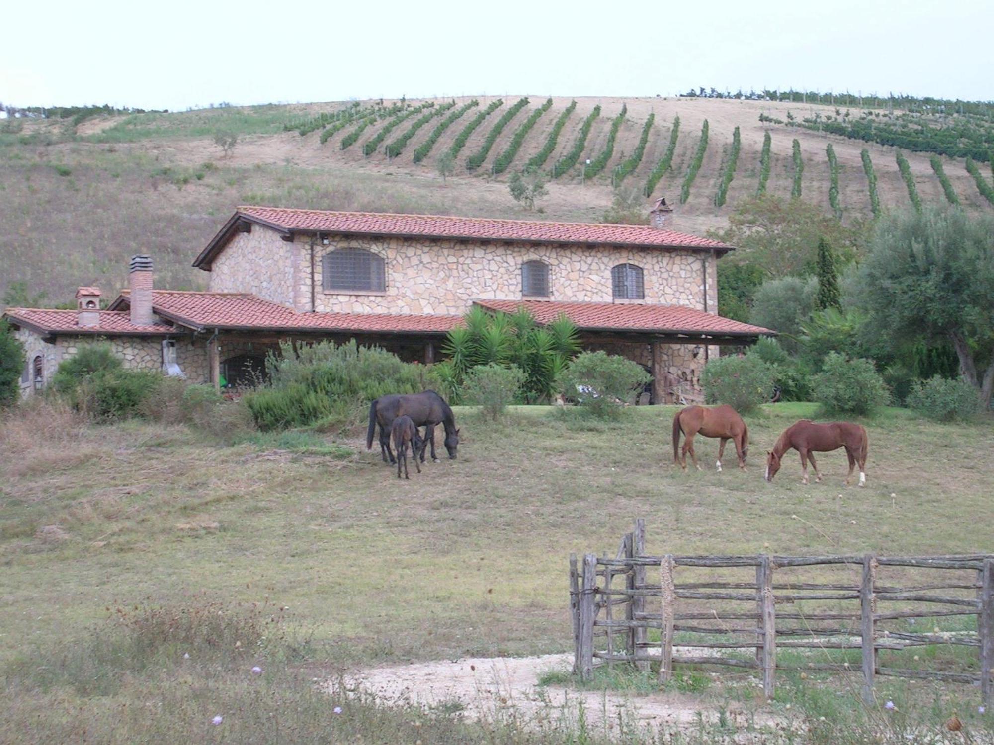 Casale Farnesiana B&B Тарквиния Экстерьер фото